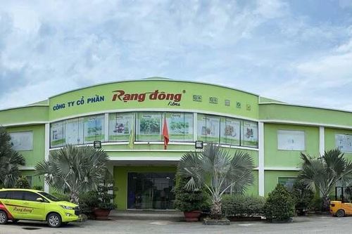 Cổ phiếu Rạng Đông Holding bị hạn chế giao dịch