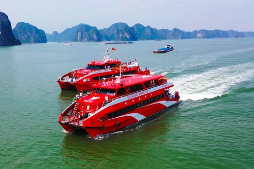 Sắp vận hành tuyến tàu cao tốc kết nối Hạ Long - Cát Bà