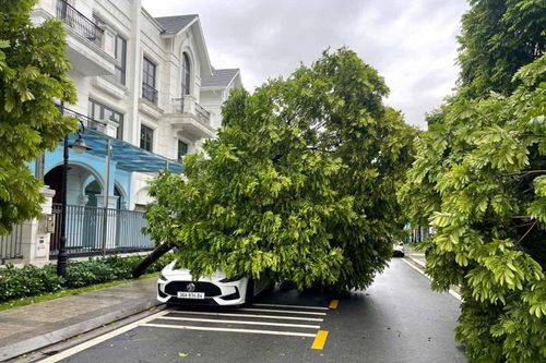 Gỡ khó cho ngành bảo hiểm, giảm thiểu tổn thất cho khách hàng