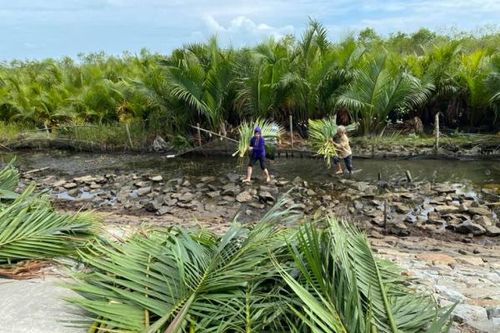 Giảm khai thác rừng và săn bắt động vật hoang dã trái phép ở Thừa Thiên Huế