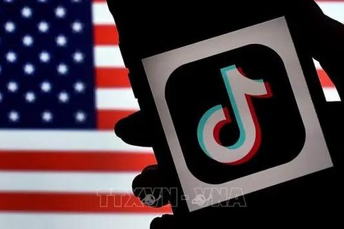 TikTok, Facebook bị cáo buộc duyệt tin giả