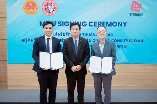 Phát triển phong trào bóng đá của người Việt tại Hàn Quốc