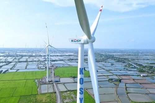 Thăng trầm cổ phiếu KOS của Công ty Kosy