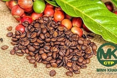 Tân Chủ tịch HĐQT Minh Khang Capital Trading Public (CTP): Giữ vai trò quan trọng tại doanh nghiệp khác, từng có thương vụ bất thành