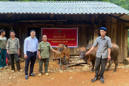 Phát huy vai trò nông dân trong phát triển nông nghiệp, xây dựng nông thôn mới