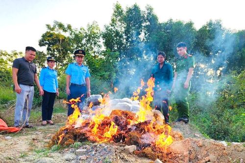 Thanh Hóa tiêu hủy hơn nửa tấn măng khô không rõ nguồn gốc