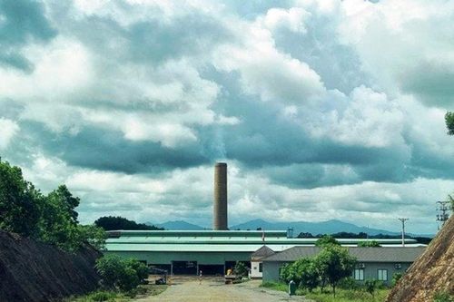 Một doanh nghiệp ở Hà Tĩnh bị xử phạt gần 800 triệu đồng vì lấn đất rừng