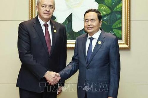 Chủ tịch Quốc hội gặp lãnh đạo các nước