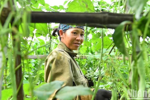 Đề xuất tiêu chí lao động có thu nhập thấp trong Chương trình giảm nghèo bền vững