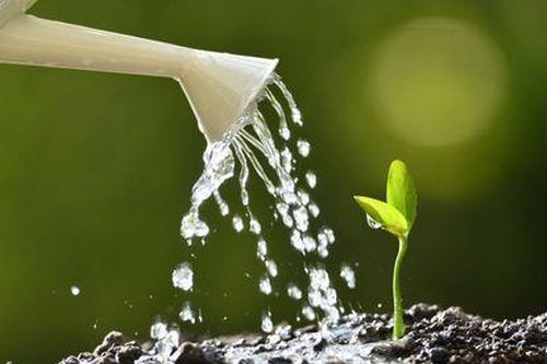 Lần đầu tiên vòng tuần hoàn nước trên Trái đất bị mất cân bằng