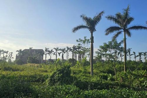 Vì sao dự án khu sinh thái Xuyên Á vẫn...'đắp chiếu'?