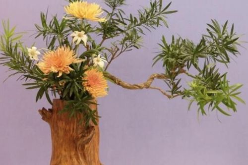 Triển lãm nghệ thuật cắm hoa Nhật Bản Ikebana tại Hà Nội