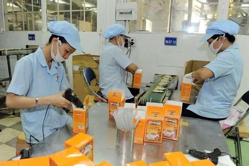 Vinacafe Biên Hòa (VCF) doanh thu tăng, lãi Quý 3/2024 vẫn suy giảm 10%