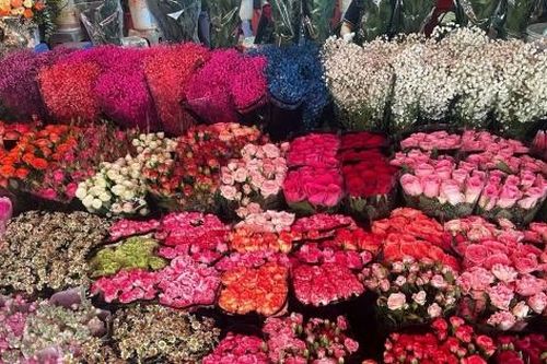 Hà Nội ngập sắc hoa ngày Phụ nữ Việt Nam 20/10