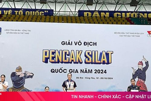 Hà Tĩnh giành 4 huy chương tại Giải Vô địch Pencak silat quốc gia