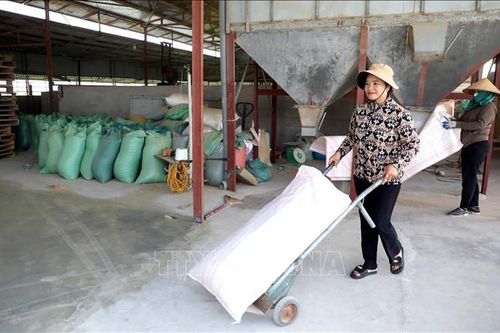 Nữ 'đại điền' biến đất hoang thành những 'mùa vàng'