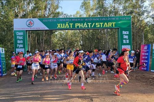 Giải Việt dã 'Chinh phục đỉnh Pyâu' thu hút nhiều đội chạy chuyên nghiệp