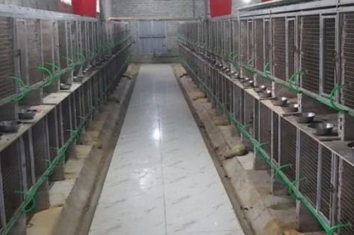 Bỏ việc, dùng toàn bộ số tiền tích lũy làm việc chưa từng làm, 8x Nghệ An thu lãi cả tỷ đồng/năm