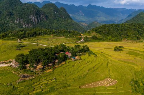 Ngắm cảnh sắc thơ mộng và bình yên Pù Luông mùa lúa chín