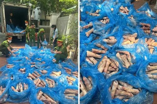Hà Nội: Tịch thu 1.610kg chân giò chuẩn bị lên bàn nhậu để tiêu hủy