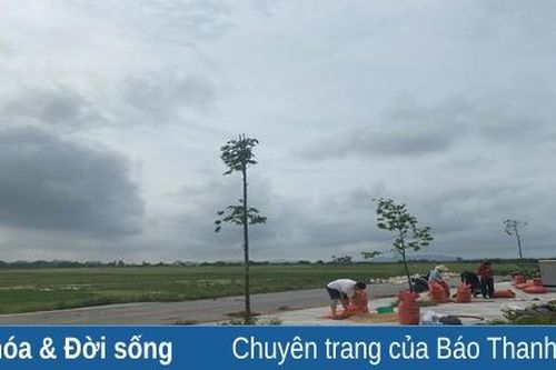Chạy mưa...