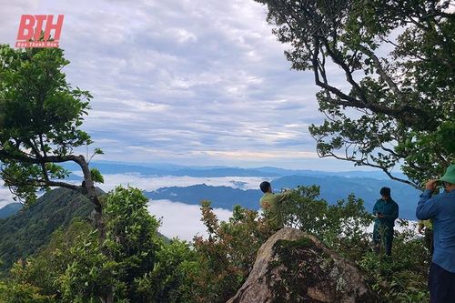 'Ngôi nhà' an toàn của động vật hoang dã