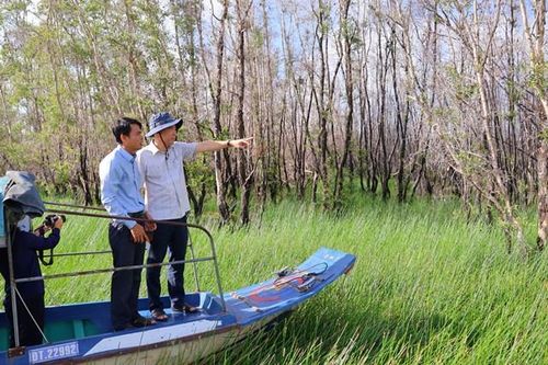 Chủ tịch UBND tỉnh Phạm Thiện Nghĩa khảo sát thực tế tại huyện Tam Nông