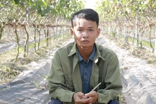 Kỹ sư 9x bỏ phố về quê khởi nghiệp, 'gặt' trái ngọt từ nho hạ đen