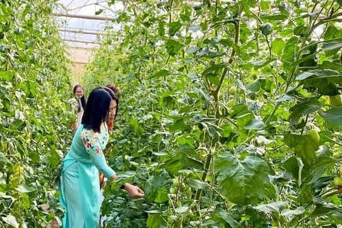 Phân cấp thẩm quyền mua sắm tài sản, hàng hóa, dịch vụ trên địa bàn Gia Lai