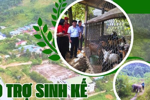 Hỗ trợ sinh kế giúp hộ nghèo vươn lên