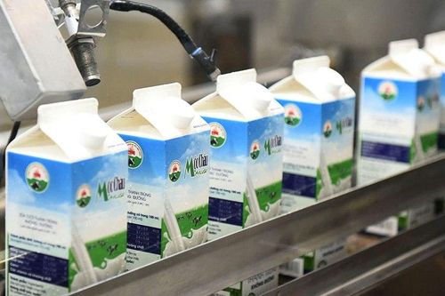 Vừa chuyển nhà qua HoSE, Mộc Châu Milk (MCM) báo lãi giảm 55%