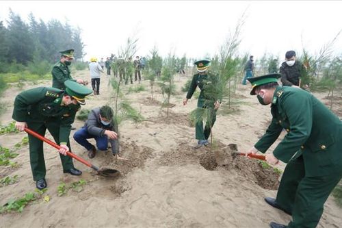 Ninh Bình: Tăng cường công tác trồng, chăm sóc và bảo vệ cây xanh trên địa bàn