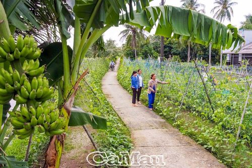 Thân thương phụ nữ miền quê