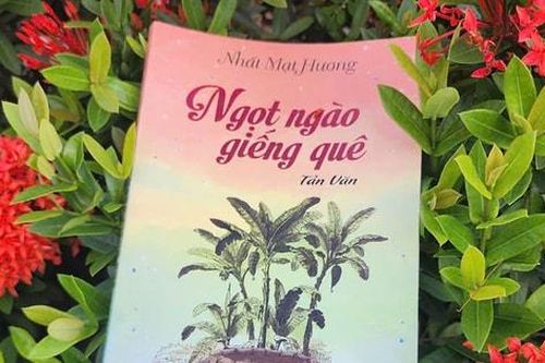 Miền quê hương ngọt lành, trong mát