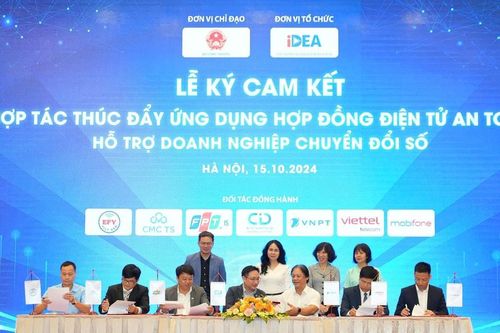 Doanh nghiệp Việt trong cuộc đua chuyển đổi số