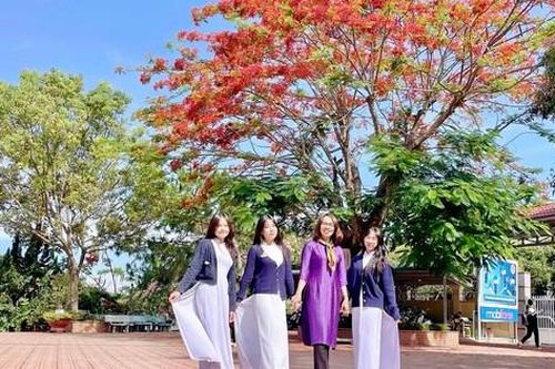 Thầy giáo nhận xét đề thi tham khảo môn Toán tốt nghiệp THPT và các kiến nghị