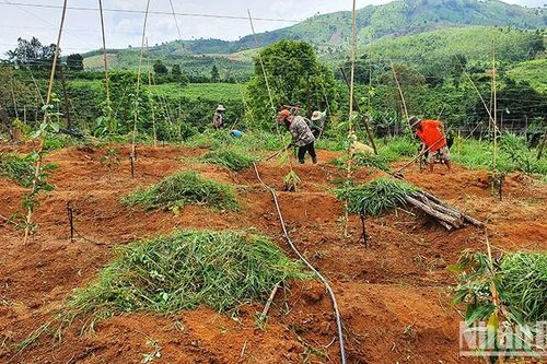 Đồng bào dân tộc thiểu số tỉnh Kon Tum đổi thay từ một Cuộc vận động