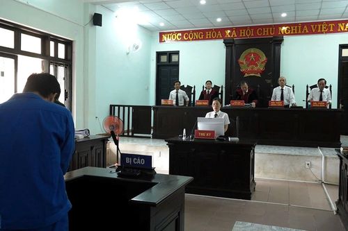 Truy thu 4,6 tỷ đồng từ người có nghĩa vụ quyền lợi liên quan để trả cho bị hại