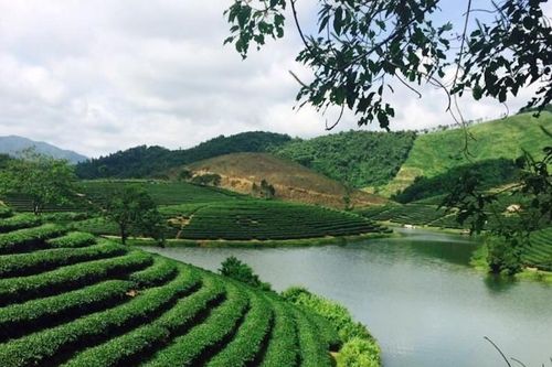 Tỉnh nào rộng nhất cả nước?