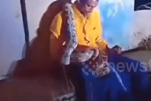 Ngủ quên bên vệ đường, nam tài xế bị trăn quấn cổ