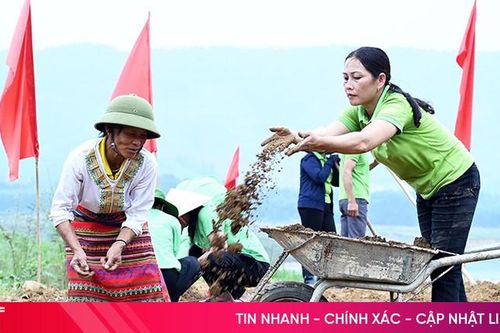 Hương Khê thí điểm mở rộng sản xuất cây hành tăm