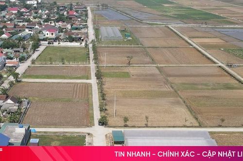 Lộc Hà sản xuất 500 ha rau màu vụ đông theo hướng an toàn, hiệu quả