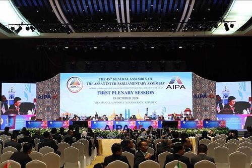 AIPA - ASEAN phối hợp thúc đẩy thực hiện kế hoạch ASEAN và Nghị quyết AIPA