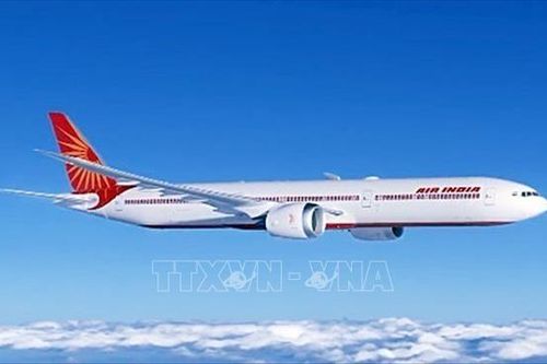Máy bay của Ấn Độ phải hạ cánh khẩn cấp xuống Frankfurt (Đức)