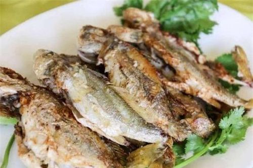 Đừng bỏ qua khi gặp loại cá này, nó chứa hàm lượng canxi rất cao, thường được cho trẻ em uống để giúp chúng cao lớn