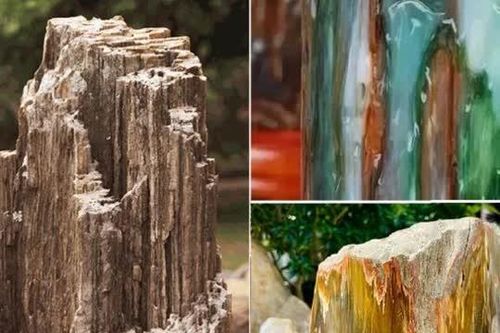 Nhặt được khúc gỗ xấu xí, người đàn ông mang về xẻ ra mới biết đã 'bắt được kim cương'