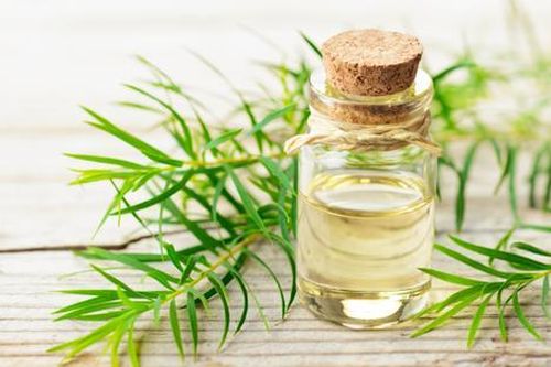 'Chữa lành' làn da từ tinh dầu tràm trà