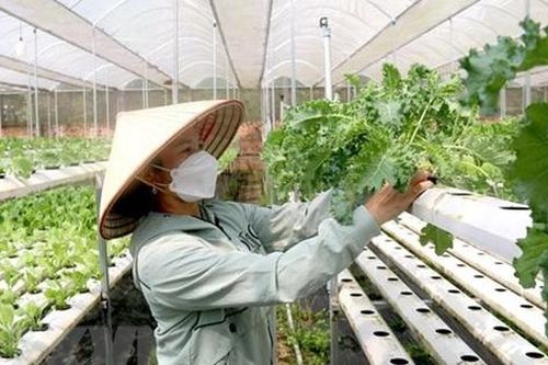 Phụ nữ - Động lực cho phát triển bền vững