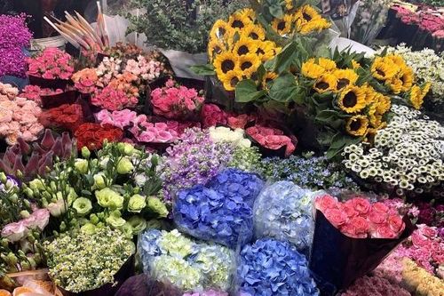 Nhộn nhịp chợ hoa Quảng An lớn nhất Hà Nội ngày 20/10