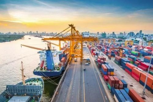 Cần Thơ: Cưỡng chế thuế, ngừng sử dụng hóa đơn 1 công ty vận tải biển